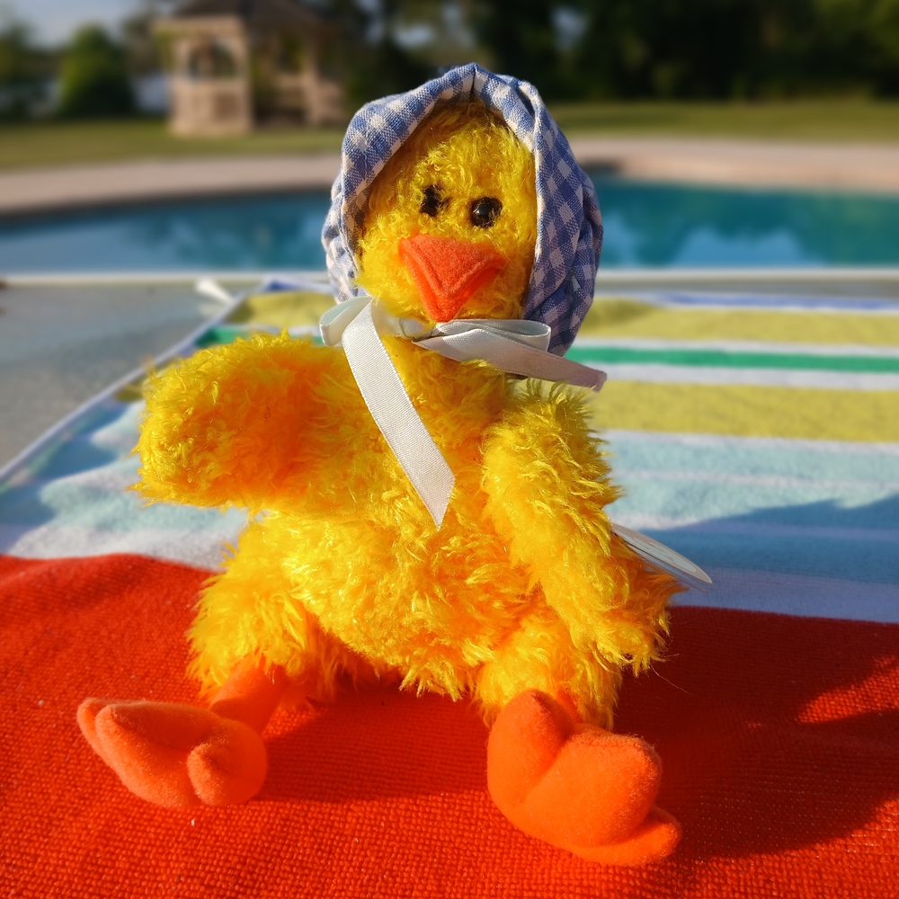Yellow Plush Duck Toy with Blue Hat